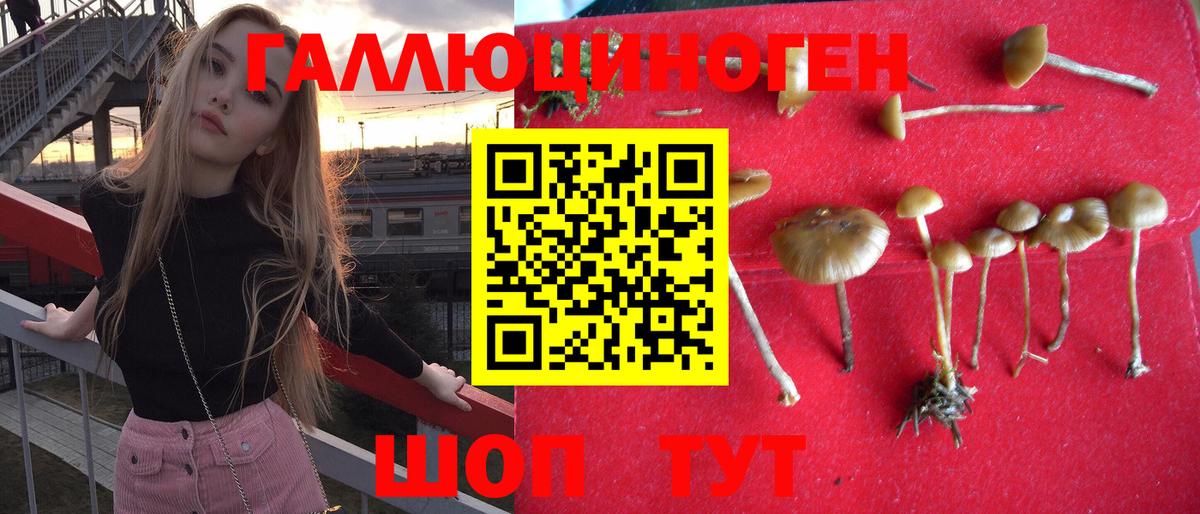 Галлюциногенные грибы Cubensis Мурманск